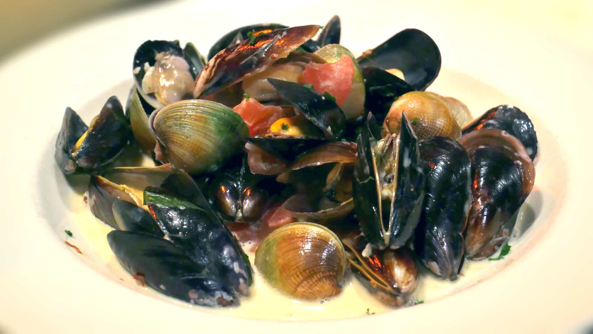 MUSSELS-AND-CLAMS.jpg